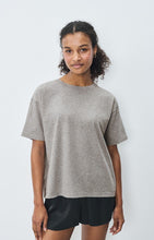 Load image into Gallery viewer, Fizvalley T-Shirt - Heather Grey
