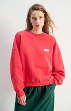 Load image into Gallery viewer, Plizzy Sweatshirt - Vintage Volcano
