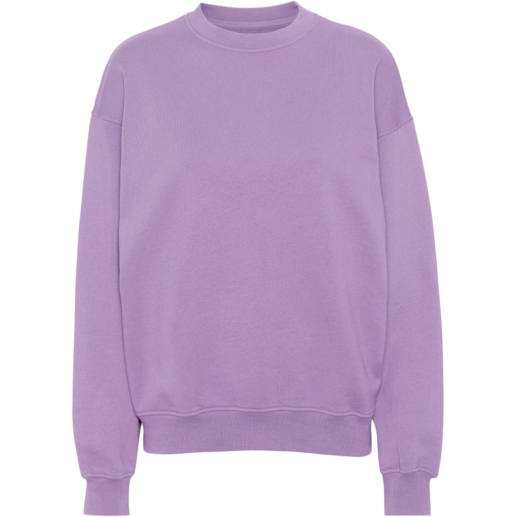 Oversized Crew Sweatshirt - Pearly Purple
