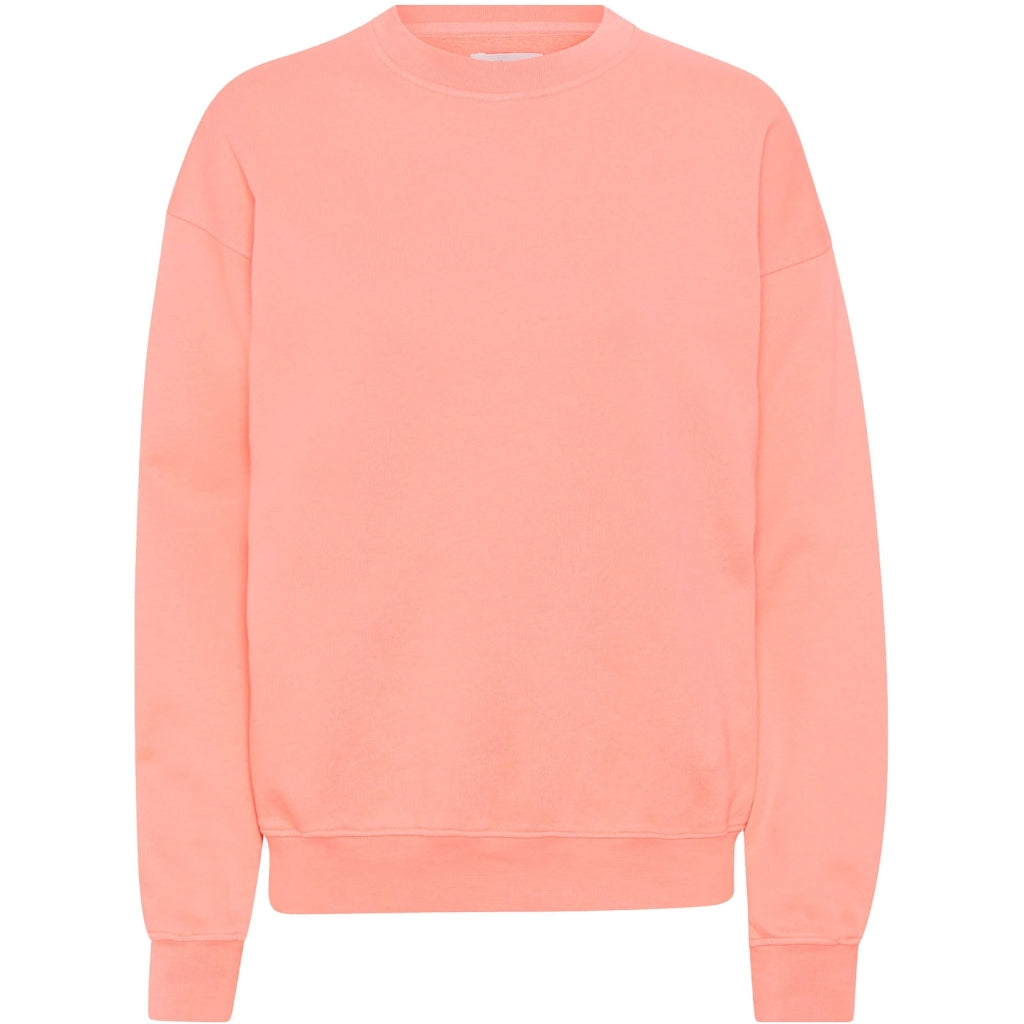 Oversized Crew Sweatshirt - Bright Coral